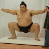 Võ sĩ sumo